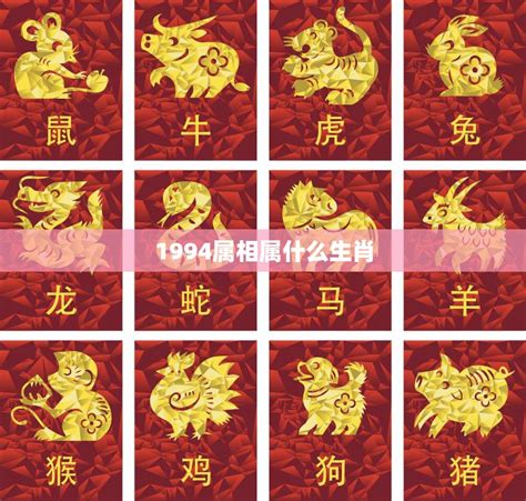 甲戌年1994|94年是属什么生肖？